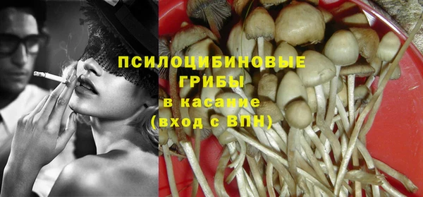 спайс Ладушкин
