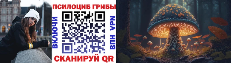 Псилоцибиновые грибы мухоморы  Купить закладки  Рыльск 